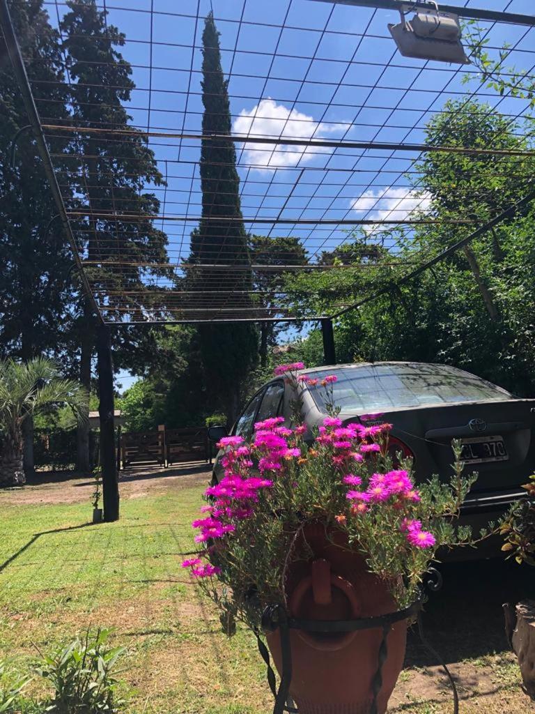 Ezeiza Quinta Cedro Azul 10 Min Del Aeropuerto Villa Eksteriør billede